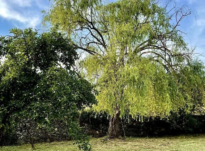 Vakantiehuis A Casa De Pia